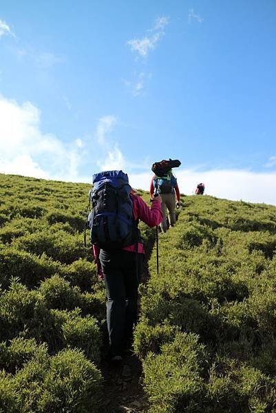 合歡山 西峰 北峰3