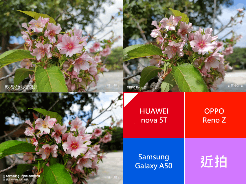 萬把元要選誰？HUAWEI nova 5T 與 OPPO Reno Z、Samsung Galaxy A50 拍照 PK 大對決 (47).png