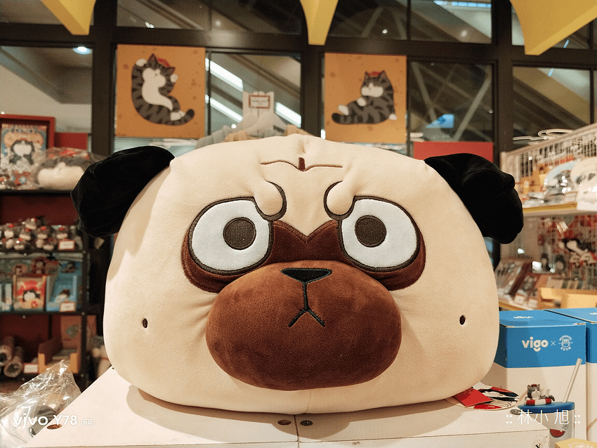 vivo Y78 智慧型手機開箱-拍照效果分享 (ifans 林小旭) (55).png