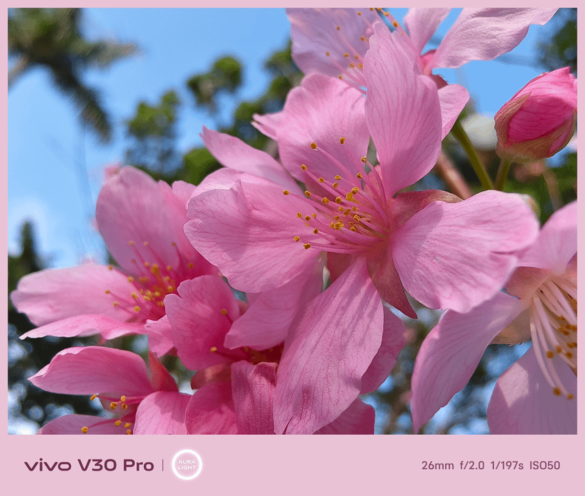 vivo V30 Pro 相機拍照分享 (ifans 林小旭) (71).png