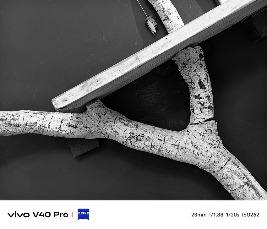 vivo V40 Pro 智慧型手機相機拍攝評測分享 (ifans 林小旭) (104).png