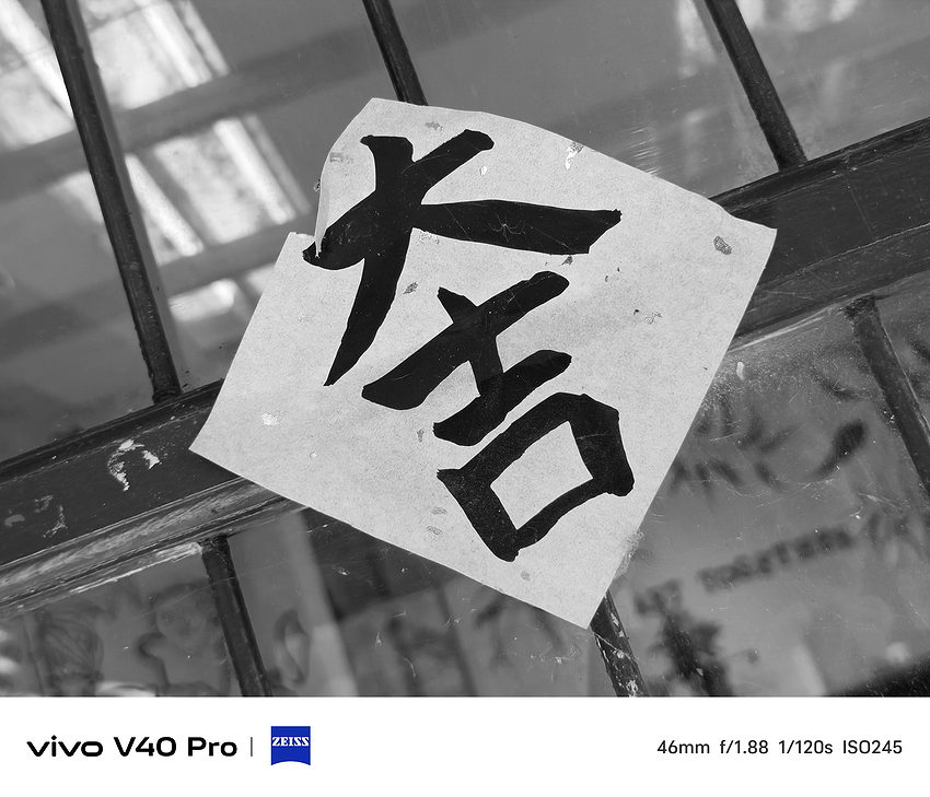 vivo V40 Pro 智慧型手機相機拍攝評測分享 (ifans 林小旭) (111).png