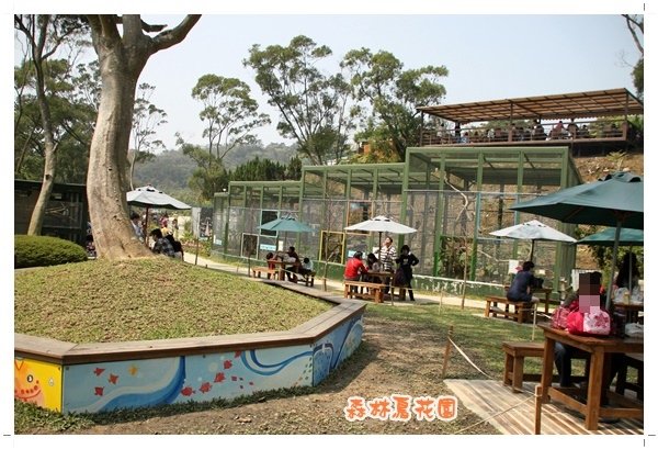 森林鳥花園 (29).JPG