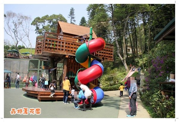 森林鳥花園 (28).JPG