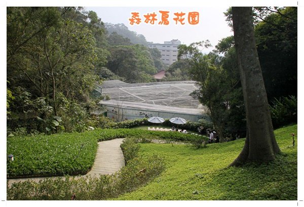 森林鳥花園 (31).JPG