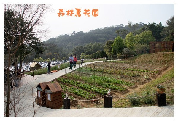 森林鳥花園 (32).JPG