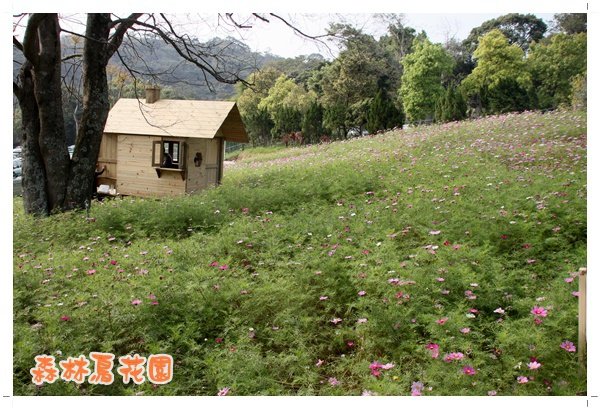 森林鳥花園 (33).JPG
