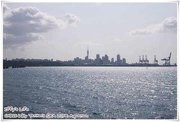 凱莉塔頓水族館 (12).JPG