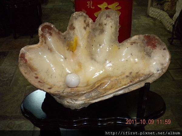 2011十月三芝貝殼廟