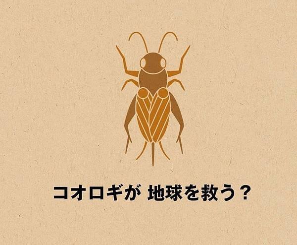 日本購買 大放異彩的蟋蟀仙貝食品 無印良品再推出蟋蟀巧克力