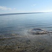 DSC09173.JPG