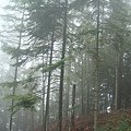 DSC04158.JPG