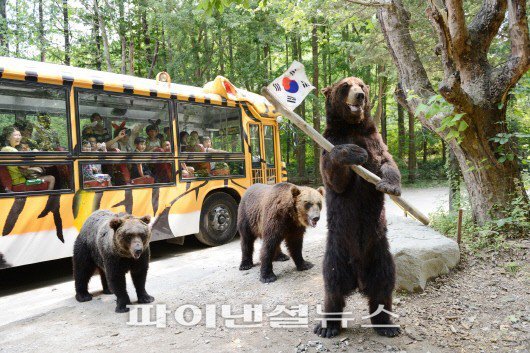 愛寶樂園