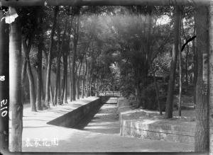 袁家花園 橋