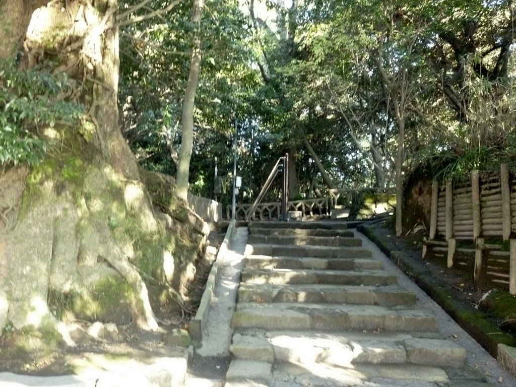 P1020362
