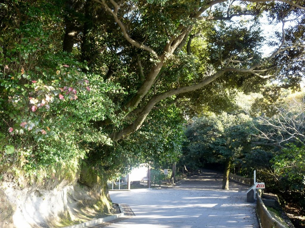 P1020366