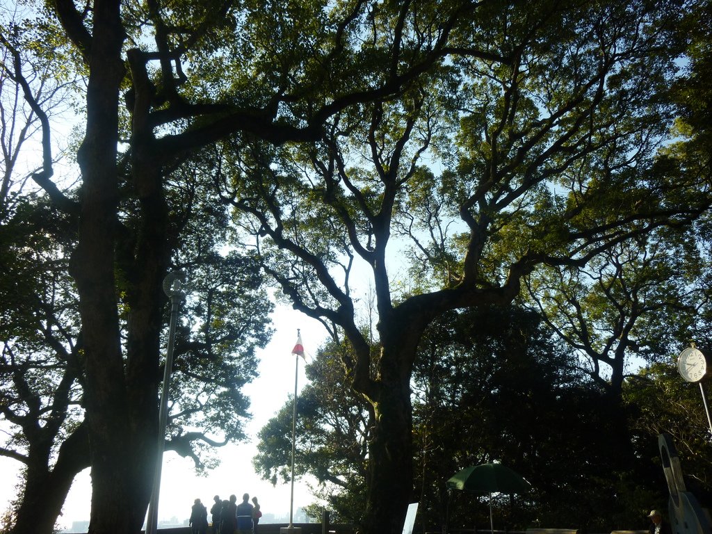 P1020379
