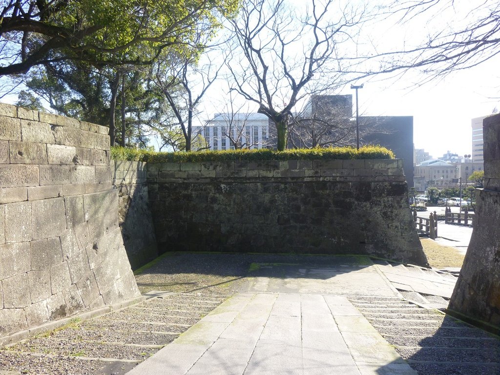 P1020414