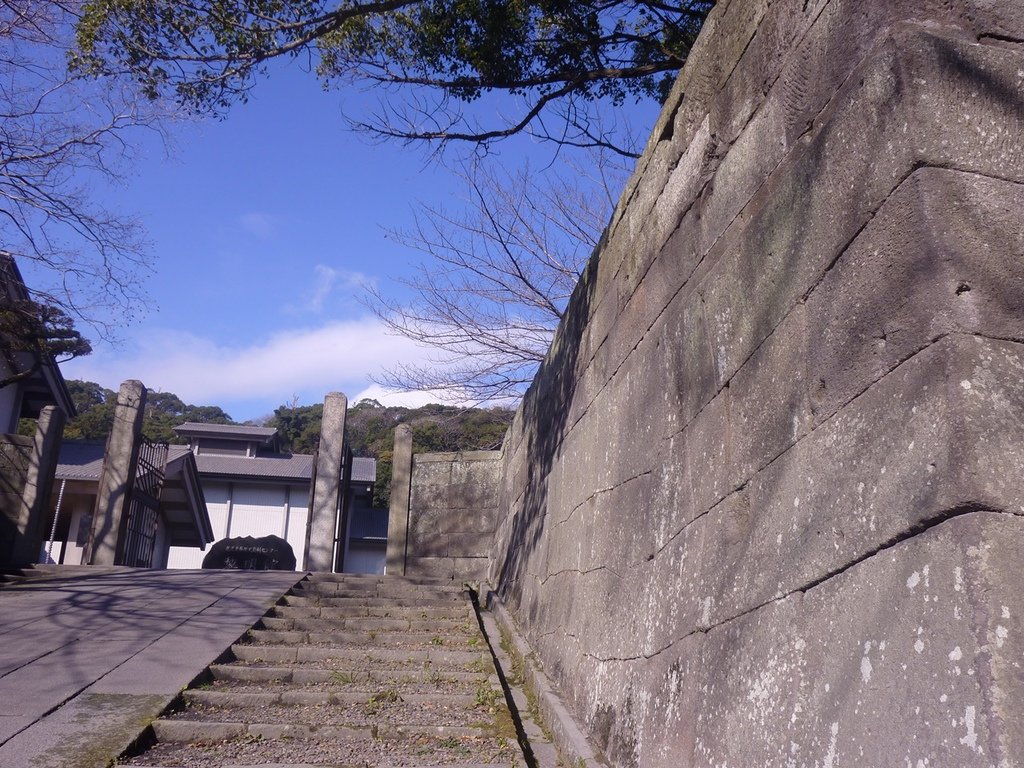 P1020421