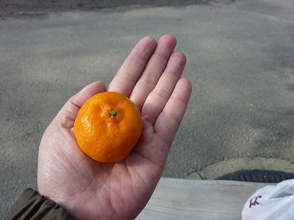 P1020548.JPG