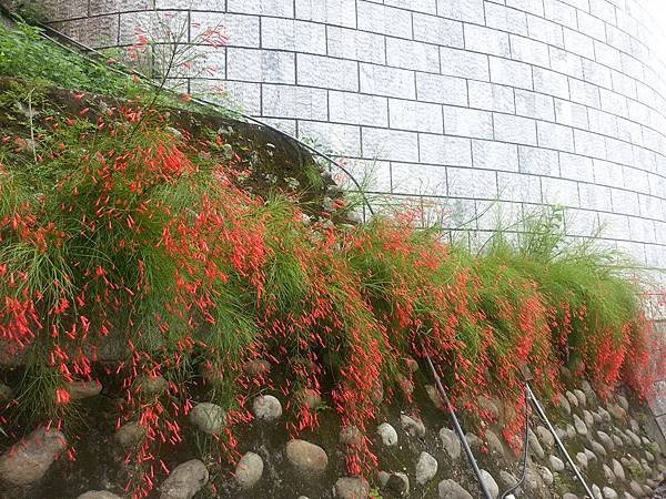 20130803_131238.jpg