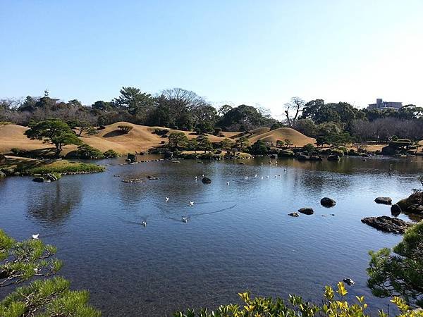 20121226_112354.jpg