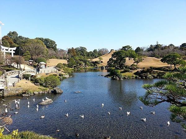 20121226_112401.jpg