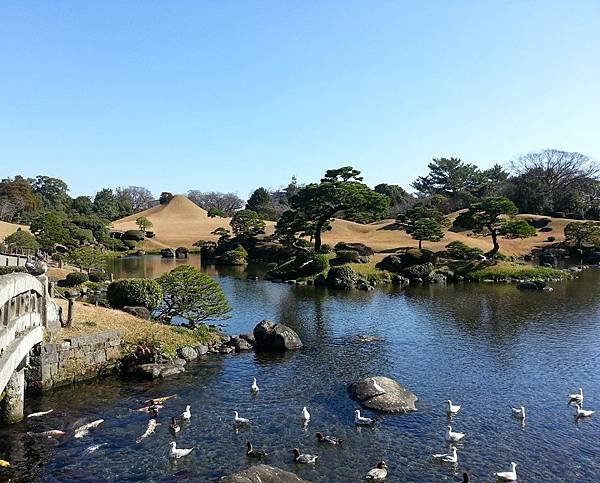 20121226_112555-crop.jpg