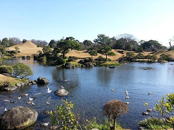 20121226_112446.jpg