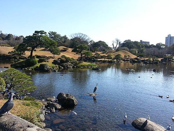 20121226_112817.jpg