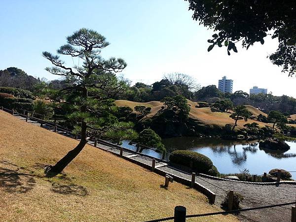 20121226_113807.jpg