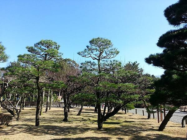 20121226_114047.jpg