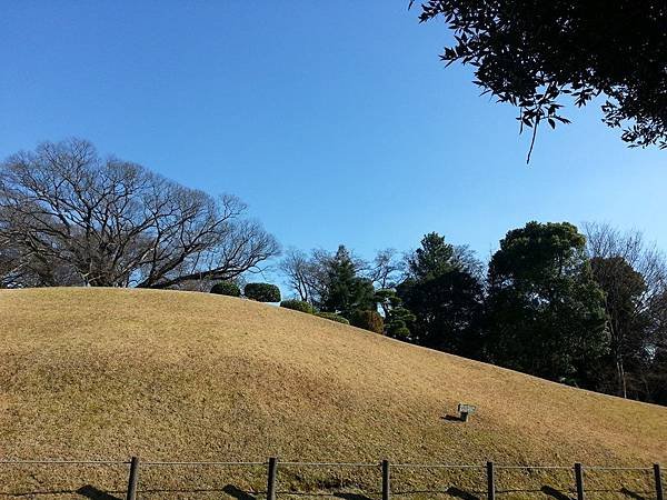 20121226_114254.jpg