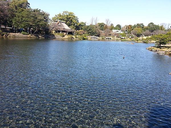 20121226_114648.jpg