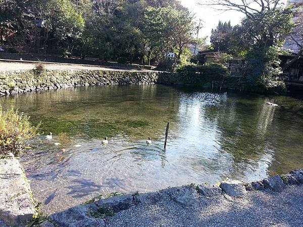 20121226_114709.jpg