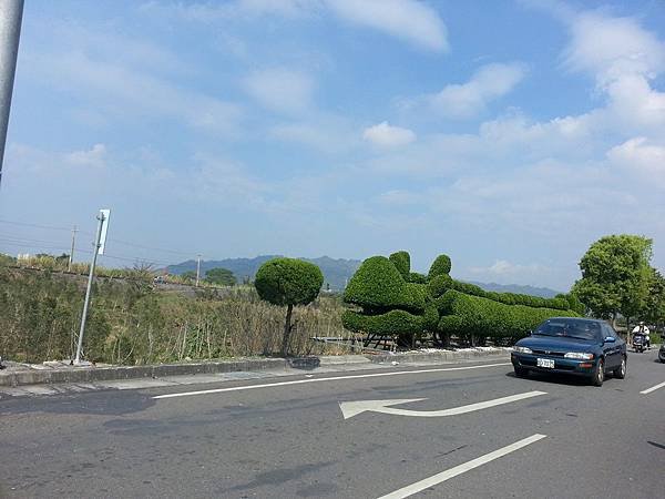 20140203_130357.jpg