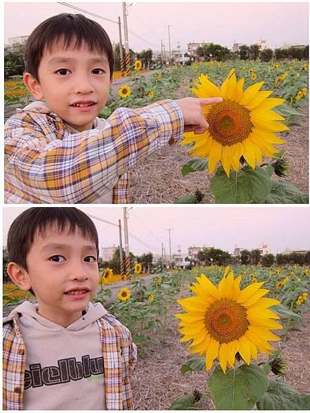 太陽花與小孩