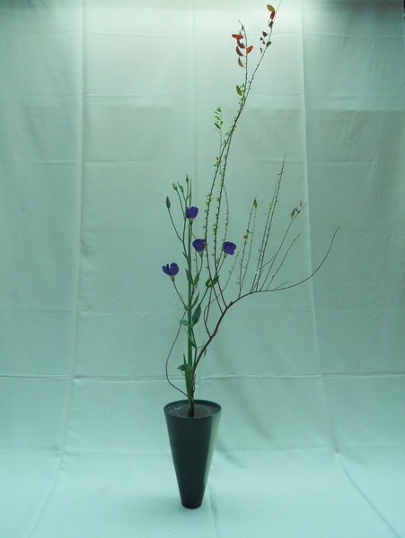 DSCN2550.JPG