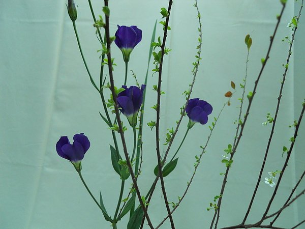 DSCN2553.JPG