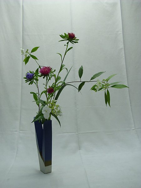 DSCI0228.JPG