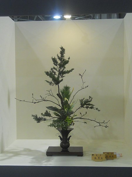 DSCN3001.JPG