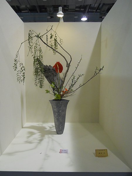 DSCN2884.JPG
