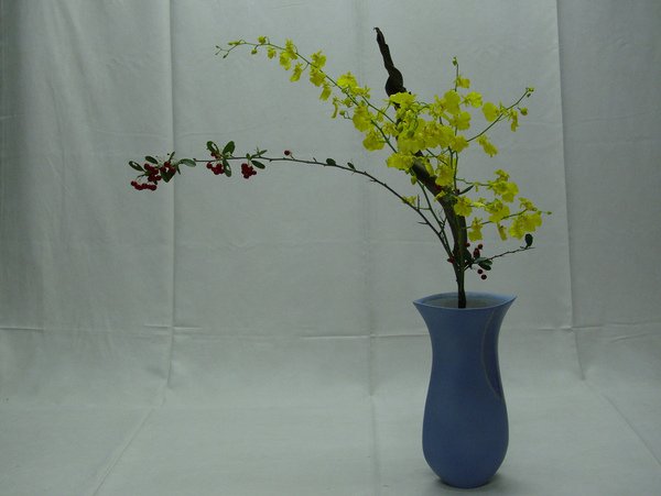 DSCI0444.JPG