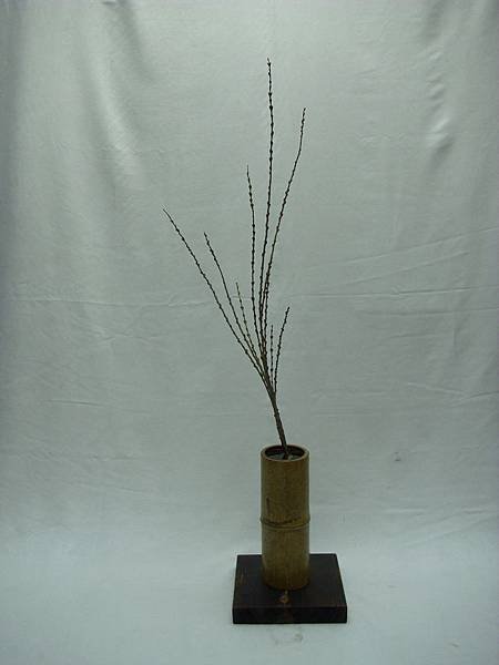 DSCI0294.JPG