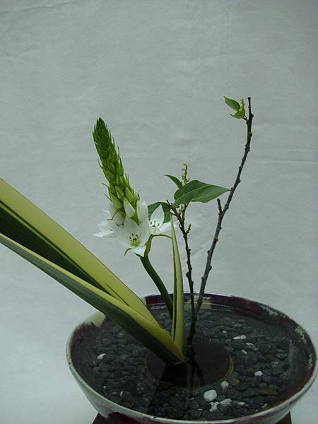 DSCI0289.JPG