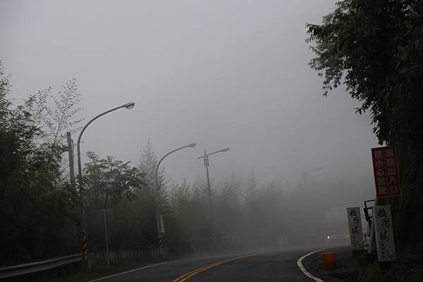 IMG_0900.JPG