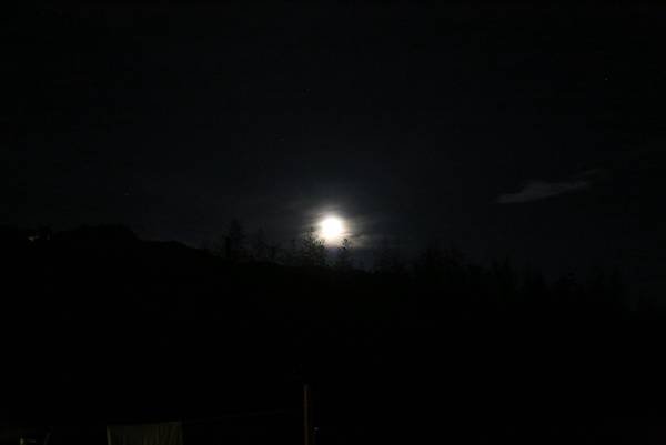IMG_2252.JPG