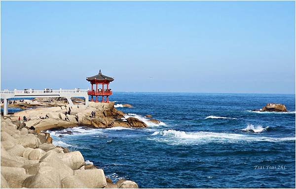 [韓國束草]束草章魚鮑魚砂鍋湯(속초문어전복뚝배기)|近束草