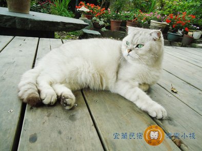 DSC00785.JPG