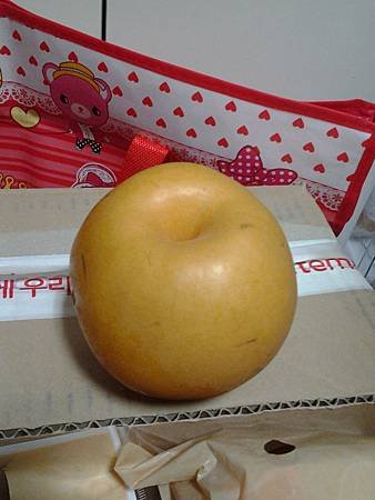 照片 194.jpg